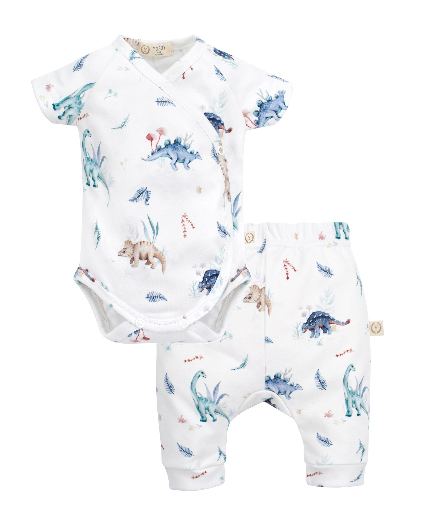 Short Sleeve Kimono Bodysuit and Pants, 2-Piece Set - DINOS